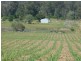 Lot 11 Robbs Road, Redhill Farms QLD 4671