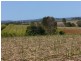 Lot 11 Robbs Road, Redhill Farms QLD 4671