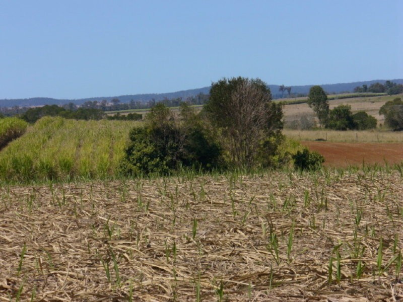 Lot 11 Robbs Road, Redhill Farms QLD 4671