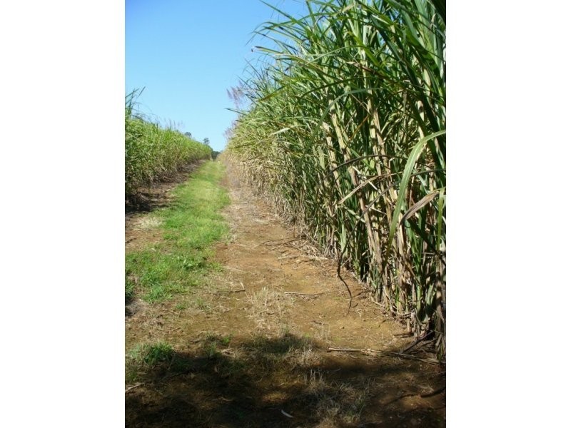Lot 11 Robbs Road, Redhill Farms QLD 4671