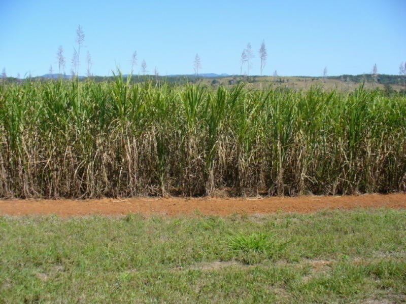 Lot 11 Robbs Road, Redhill Farms QLD 4671