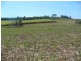 Lot 11 Robbs Road, Redhill Farms QLD 4671