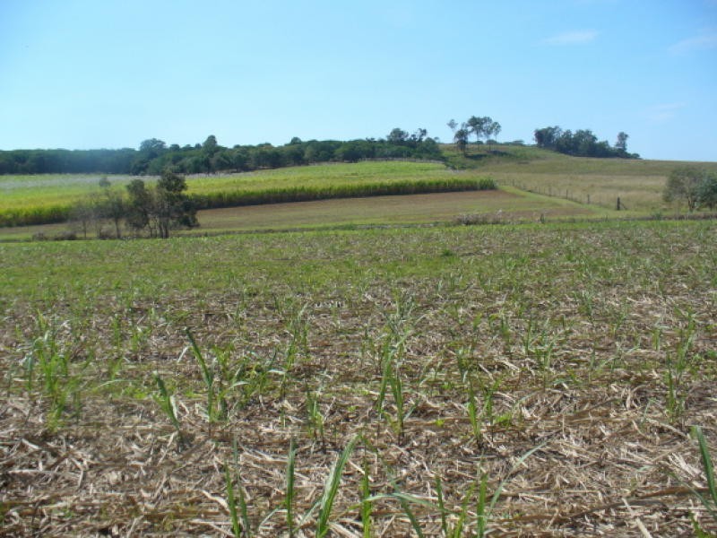 Lot 11 Robbs Road, Redhill Farms QLD 4671