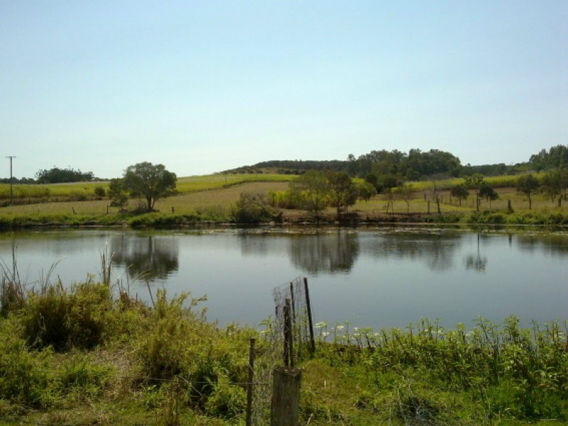 Lot 11 Robbs Road, Redhill Farms QLD 4671