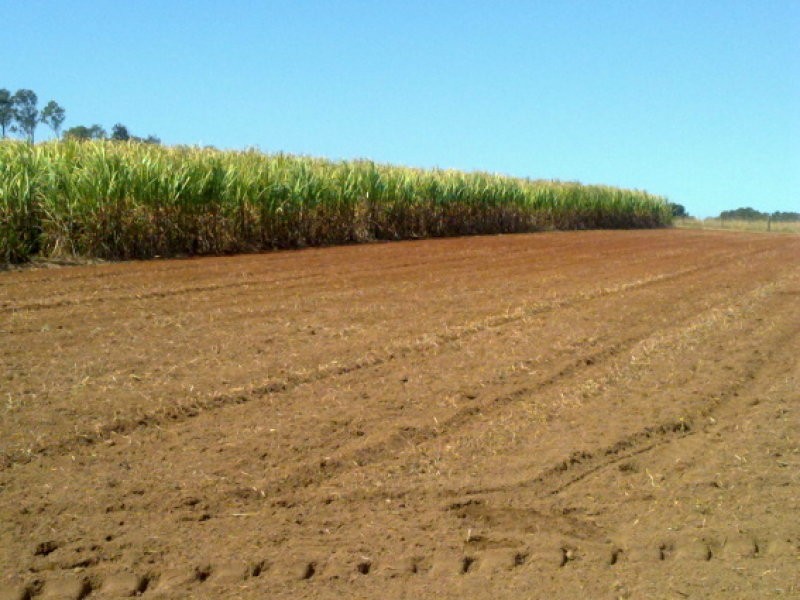 Lot 11 Robbs Road, Redhill Farms QLD 4671