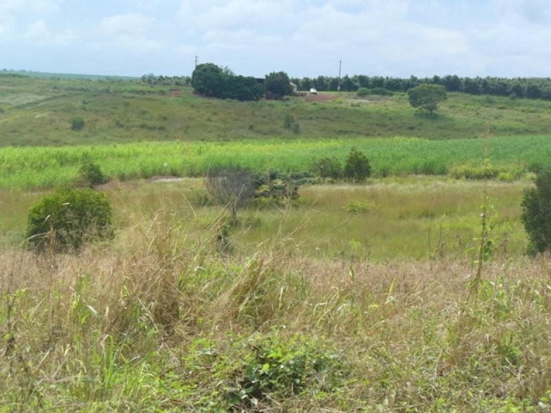 Gorries Road, North Isis QLD 4660