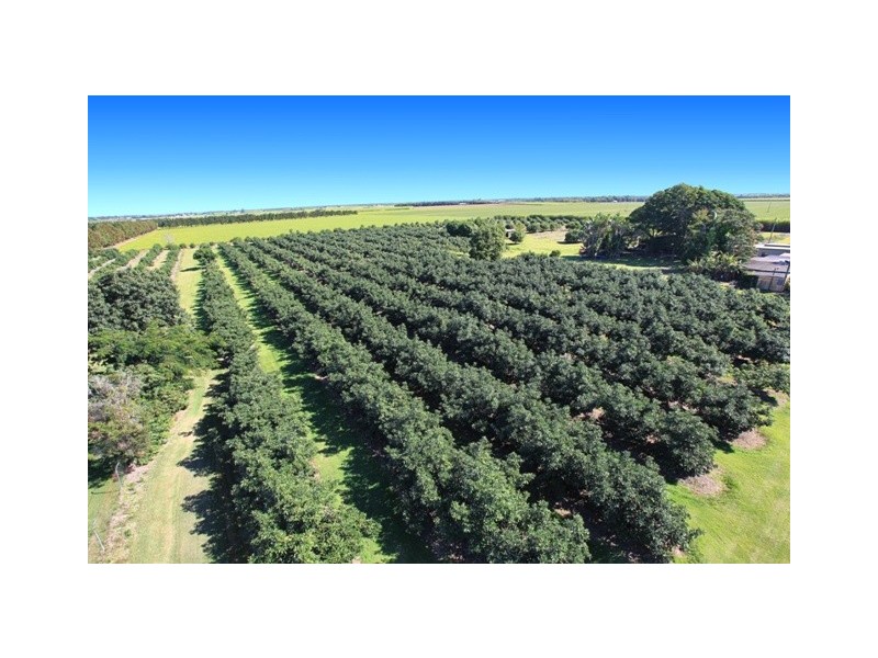 74 Dr Mays Crossing Road, Alloway QLD 4670