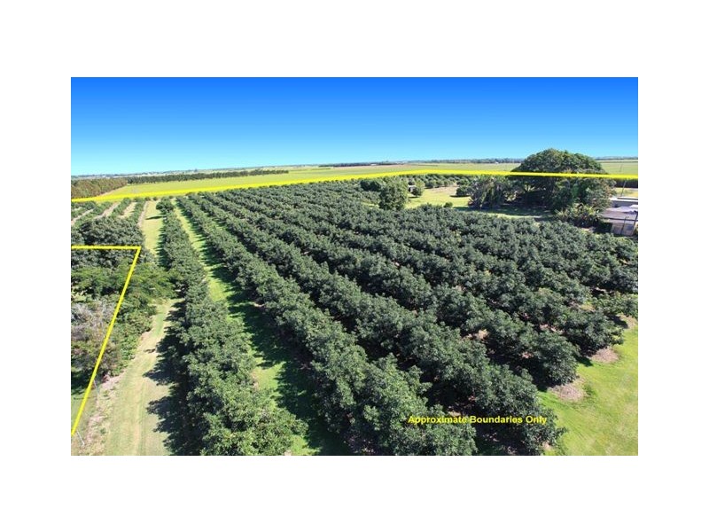 74 Dr Mays Crossing Road, Alloway QLD 4670