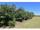 74 Dr Mays Crossing Road, Alloway QLD 4670