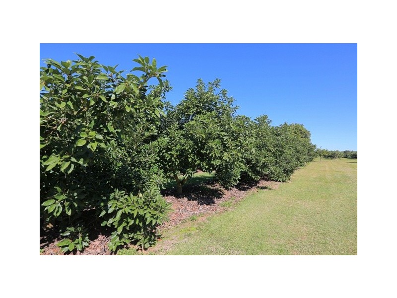 74 Dr Mays Crossing Road, Alloway QLD 4670