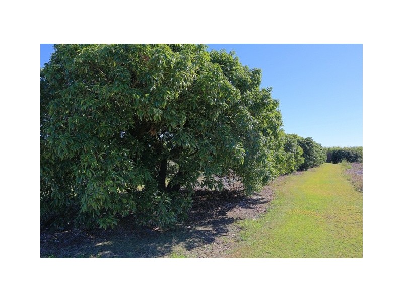 74 Dr Mays Crossing Road, Alloway QLD 4670
