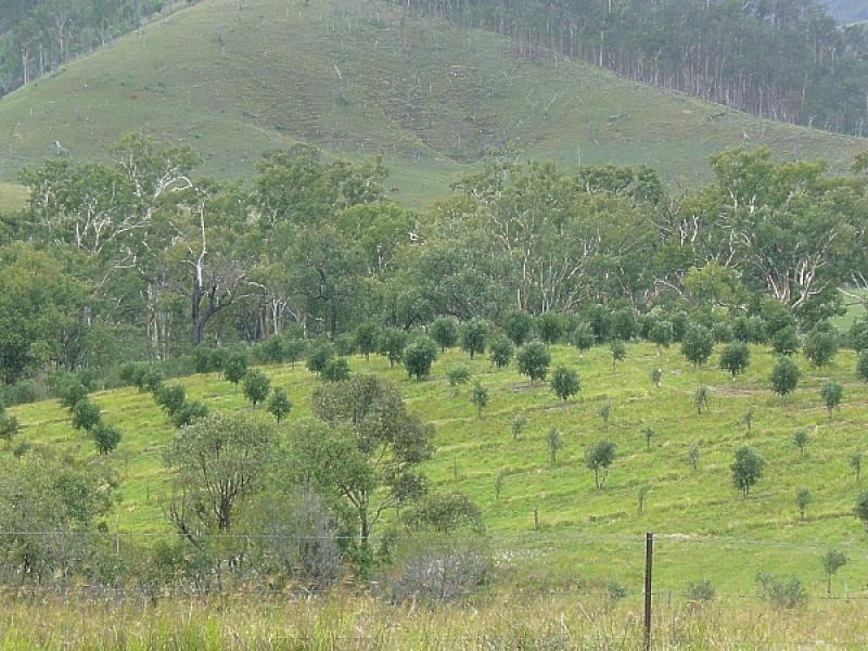 L9 School Lane, Mount Perry QLD 4671