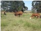 Bucca QLD 4670