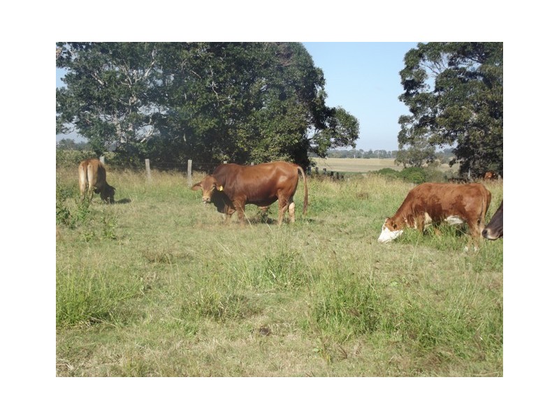 Bucca QLD 4670