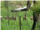 Bucca QLD 4670
