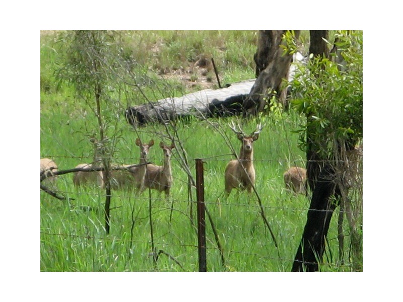 Bucca QLD 4670
