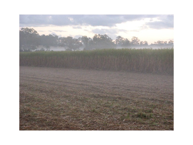 Bucca QLD 4670