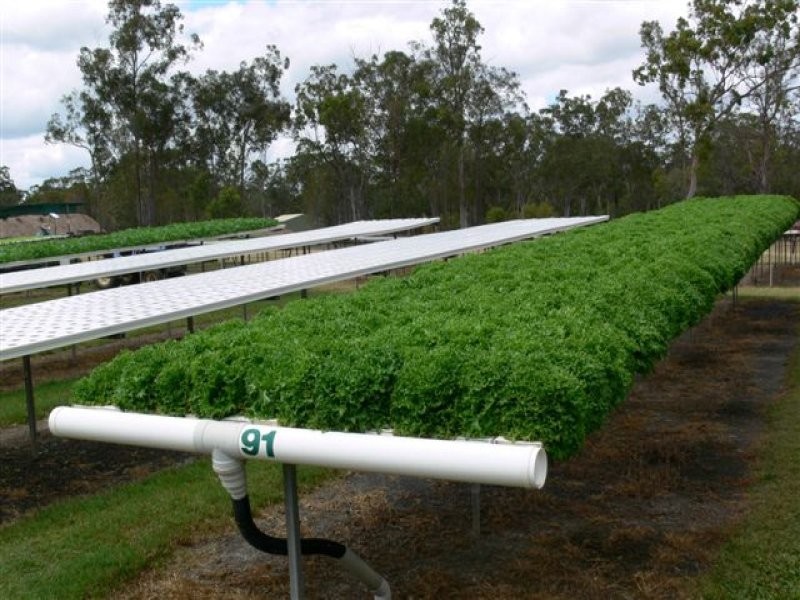 29-37 Grevillea Drive, Redridge QLD 4660