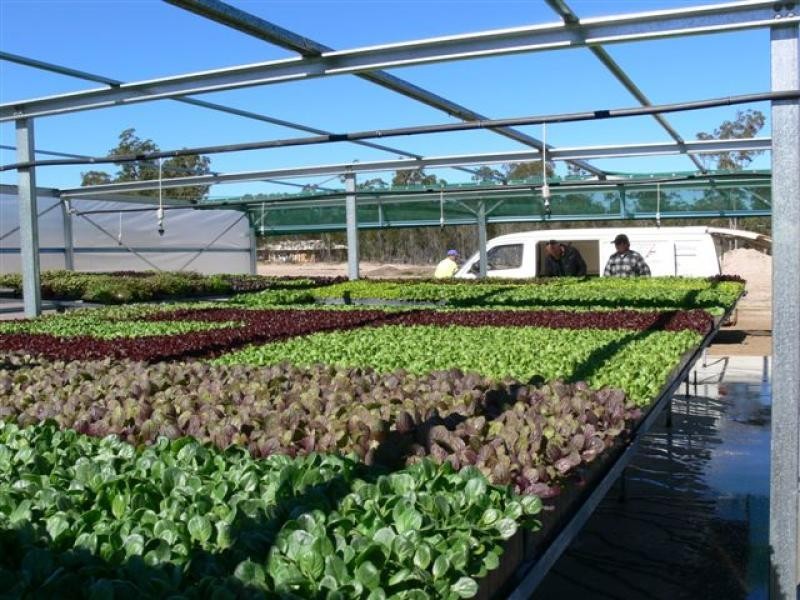 29-37 Grevillea Drive, Redridge QLD 4660