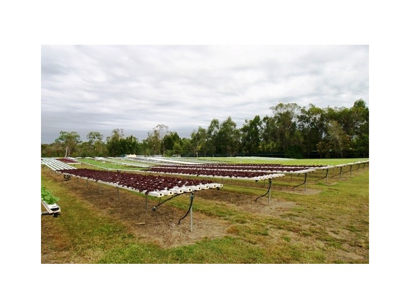 29-37 Grevillea Drive, Redridge QLD 4660