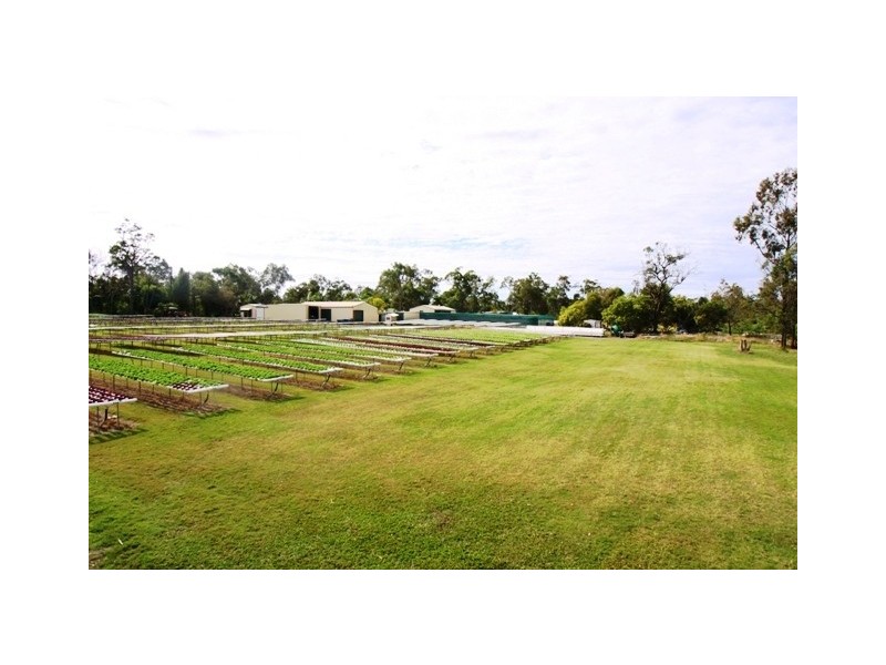 29-37 Grevillea Drive, Redridge QLD 4660