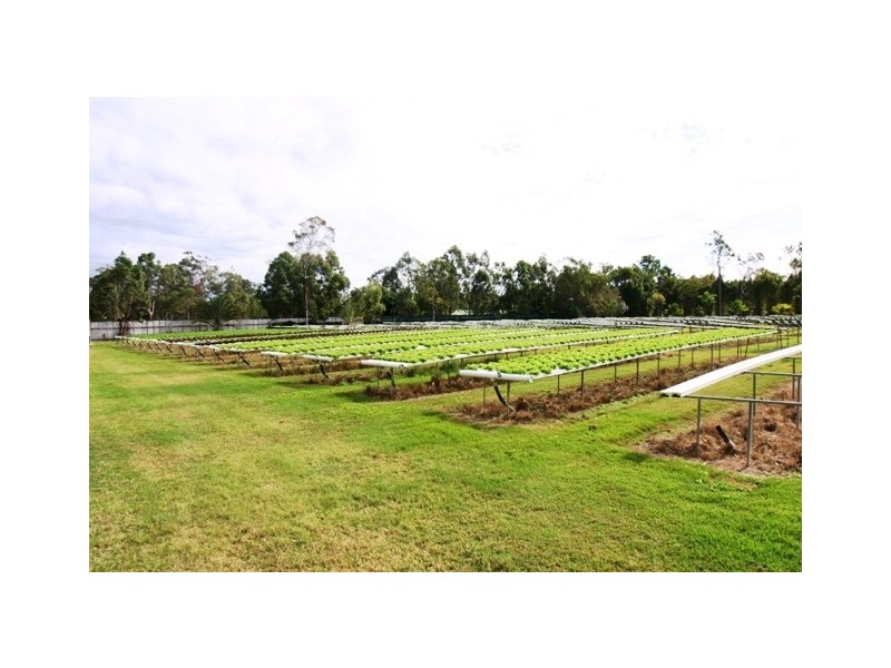 29-37 Grevillea Drive, Redridge QLD 4660