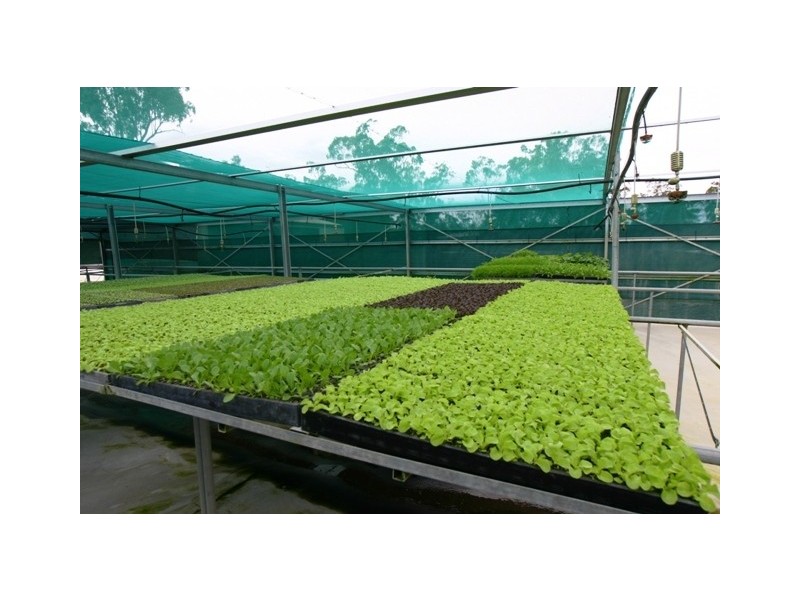 29 Grevillea Drive, Redridge QLD 4660