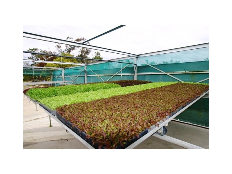 29 Grevillea Drive, Redridge QLD 4660