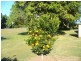 2 Wheelers Road, Oakwood QLD 4670