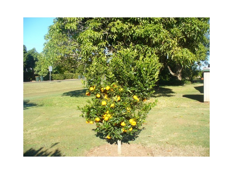 2 Wheelers Road, Oakwood QLD 4670