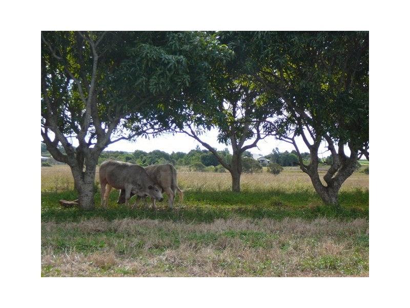 333 Ashfield Road, Windermere QLD 4670