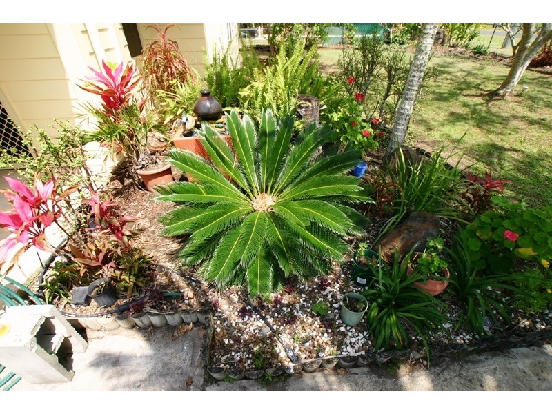 11 Doctor Street, Burnett Heads QLD 4670