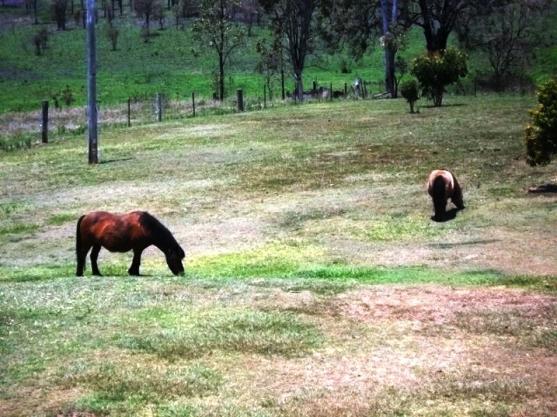 31 Rainbow Ave, Moolboolaman QLD 4671