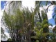 11 Walker St, Bundaberg South QLD 4670