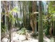 11 Walker St, Bundaberg South QLD 4670