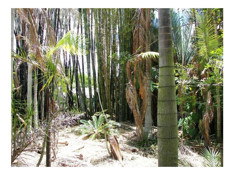 11 Walker St, Bundaberg South QLD 4670