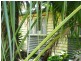 11 Walker St, Bundaberg South QLD 4670