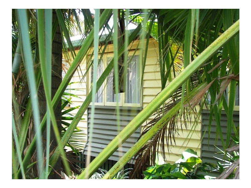 11 Walker St, Bundaberg South QLD 4670