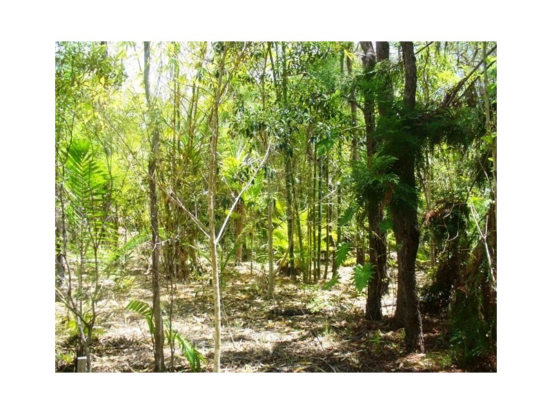 221 Quarry Road, Bucca QLD 4670