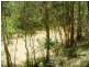 221 Quarry Road, Bucca QLD 4670