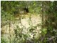 221 Quarry Road, Bucca QLD 4670