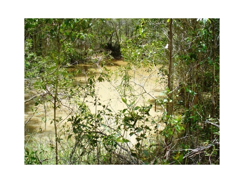 221 Quarry Road, Bucca QLD 4670