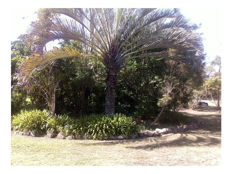 145 Birthamba Rd, South Kolan QLD 4670