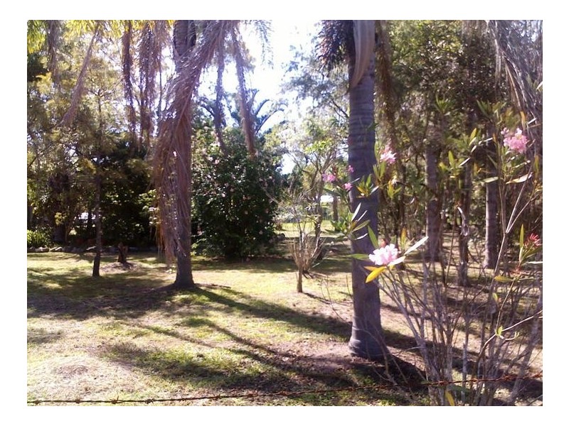 145 Birthamba Rd, South Kolan QLD 4670