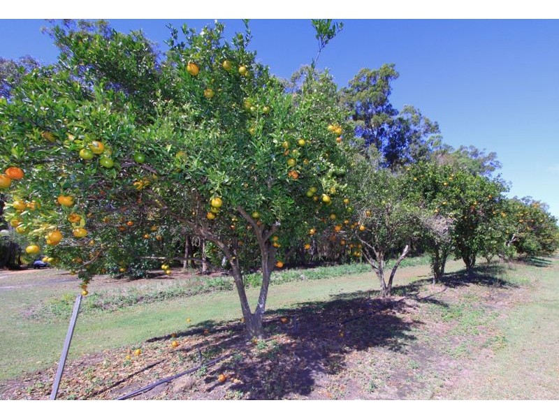 2 Willdora Drive, Branyan QLD 4670