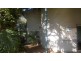 410 Langbeckers Road, Woongarra QLD 4670