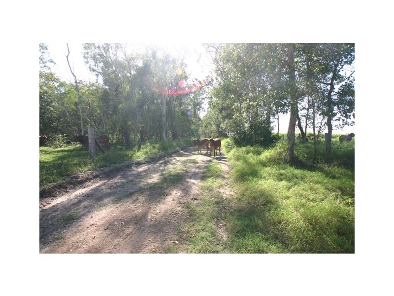 Peagams Road, Elliott QLD 4670
