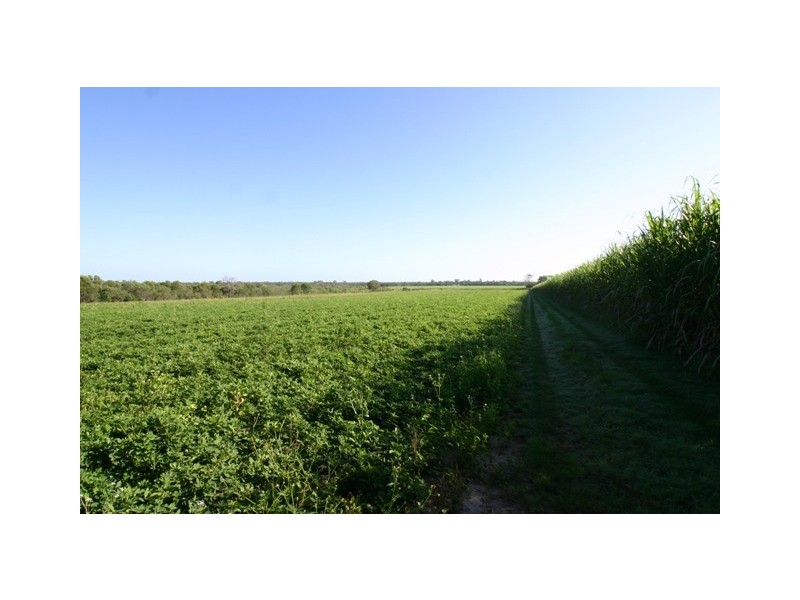 Peagams Road, Elliott QLD 4670