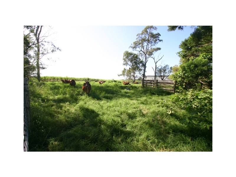 Peagams Road, Elliott QLD 4670