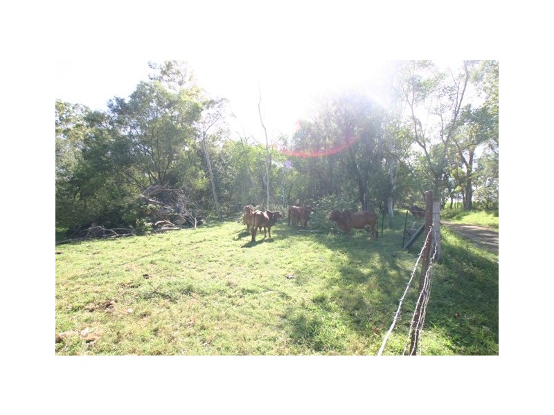 Peagams Road, Elliott QLD 4670